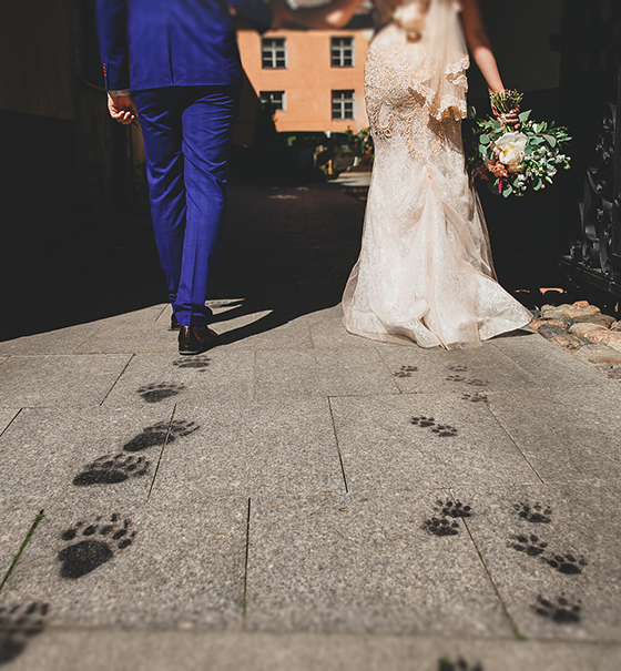 свадьба в Таллинне
